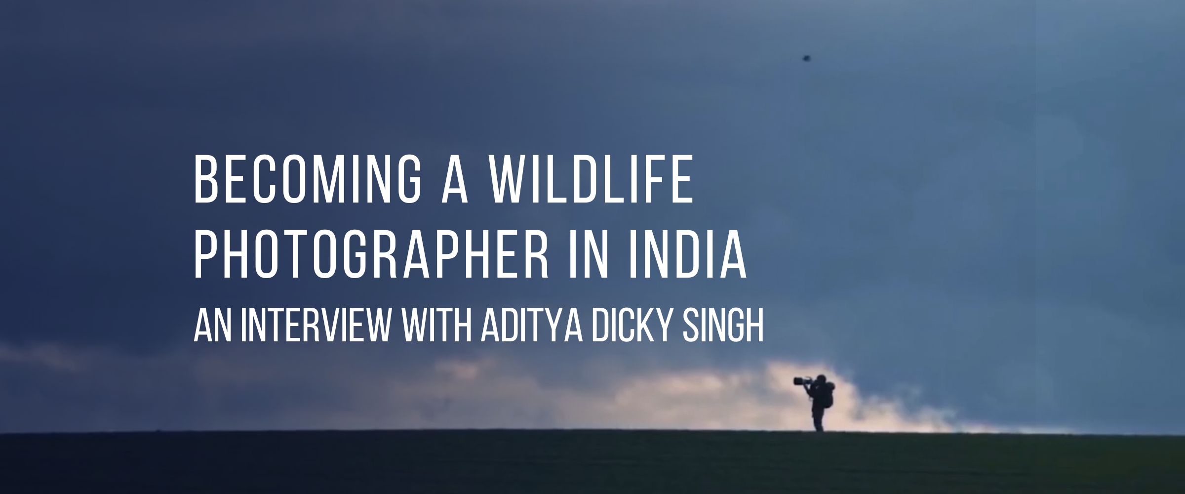 Becoming a Wildlife Photographer in India