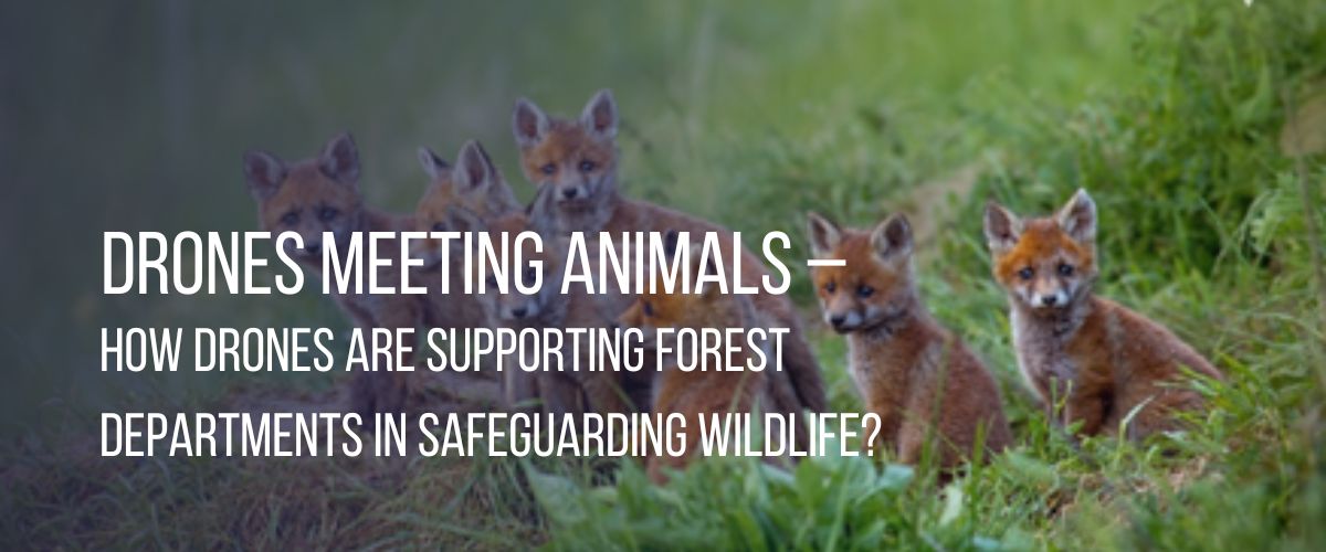 Drones Meeting Animals – How Drones are Supporting Forest Departments in Safeguarding Wildlife?  